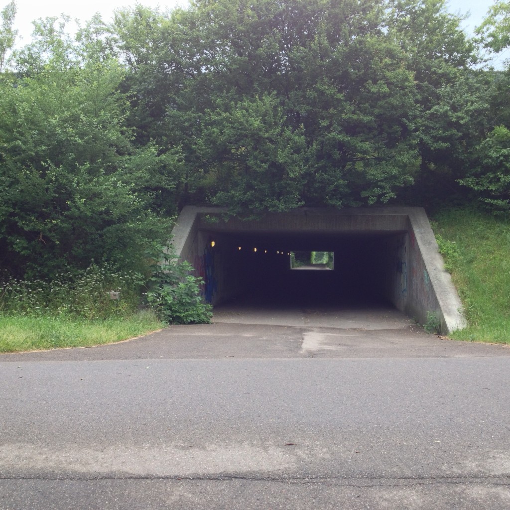 Segment 1.1, tunnellen set fra vest mod øst.